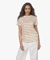 Closed Striped Linen Short Sleeve T-shirt - Gold Earth