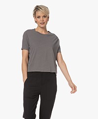American Vintage Lopintale Katoen-Linnen Cropped T-shirt - Vintage Foggy