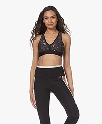 Deblon Sports Charly BH Top - Leopard Taupe