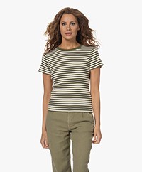 Drykorn Koale Striped Ribbed T-shirt - Green