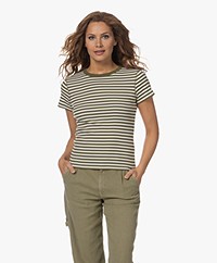 Drykorn Koale Gestreept Ribgebreid T-shirt - Groen