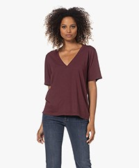 IRO Felicie Modalmix V-hals T-shirt - Berry/Bordeaux 