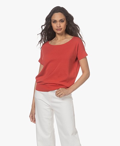 KYRA Afelien Cotton Short Sleeve Sweater - Red Apple