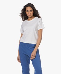 Neeve The Michelle Organic Cotton T-shirt - Crispy White