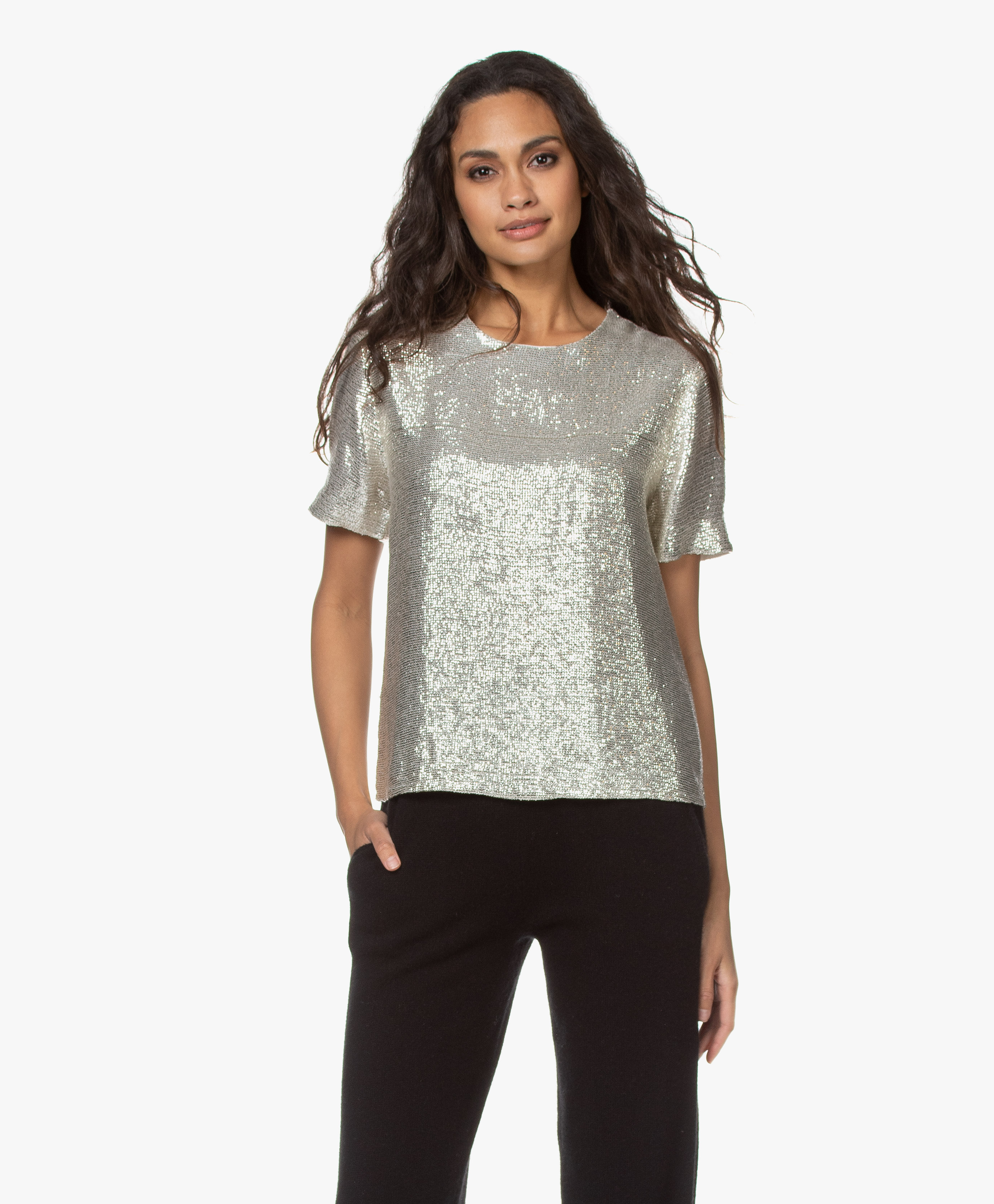 silver sequin top with sleeves