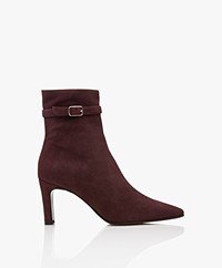 Panara Suede Leather Ankle Boots - Melanzana