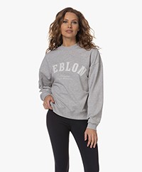 Deblon Sports Puck Print Logo Sweater - Grey Melange