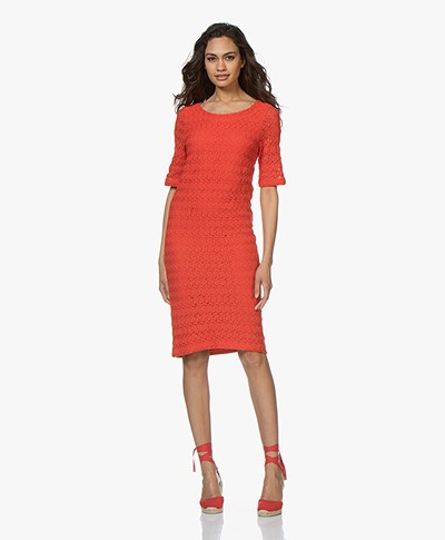 Kyra & Ko Giselle Lace Dress - Red