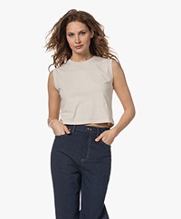 Closed Cropped Muscle Top - Limestone