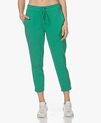 Woman by Earn Lisa Cotton Jersey Sweatpants - Jade Green