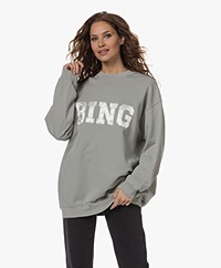 ANINE BING Tyler Oversized Bing Sweatshirt - Sage Green