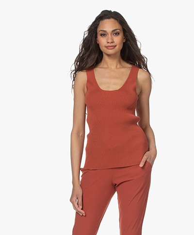 Woman by Earn Karly Rib Knitted Tank Top - Burnt Orange