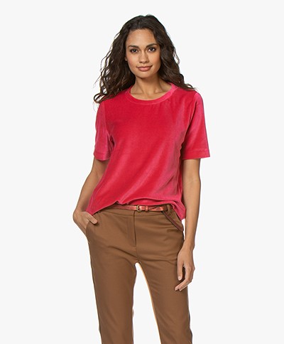 Closed Nicky Velours T-shirt - Ruby