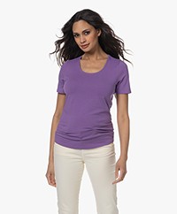 Repeat Katoenen Basis Ronde Hals T-shirt - Violet
