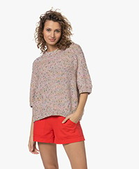Closed Mouliné Cotton Blend Sweater - Multi-color