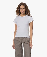 Drykorn Koale Ribgebreid Korte Mouwen T-shirt - Wit