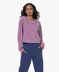 American Vintage Hodatown Piqué Sweatshirt - Lilac Multi Melange