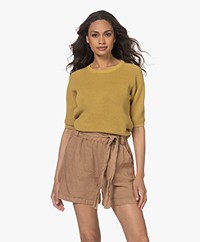 Belluna Chili Cotton Mix Short Sleeve Sweater - Gold