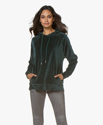 Drykorn Emina Velvet Hooded Sweater  - Dark Green
