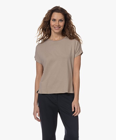 Majestic Filatures Superwashed Soft Touch T-shirt - Désert