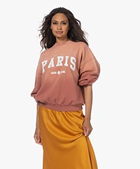 ANINE BING Jaci University Paris Sweatshirt - Washed Faded Terracotta