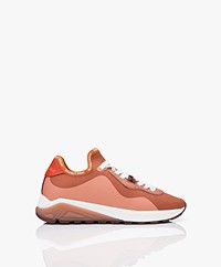 See by Chloé Low Top Mixed Sneakers - Rood/Roze