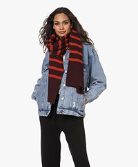 Woman by Earn Bud Stripes Long Rib Knitted Scarf - Amarena