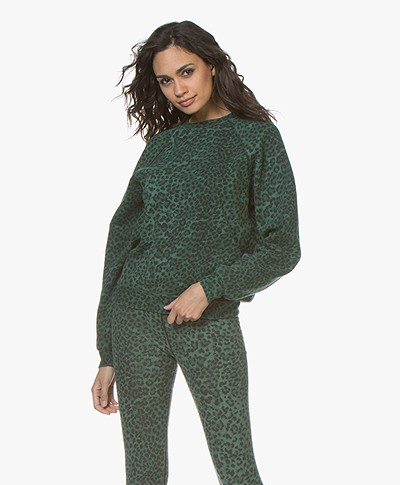 Ragdoll LA Distressed Leopard Print Sweatshirt - Green