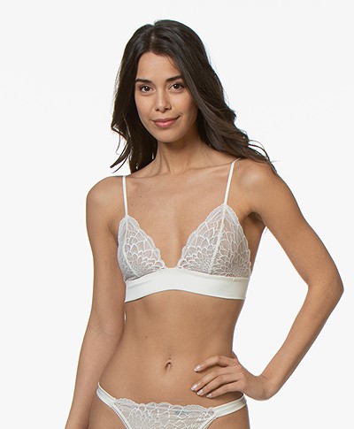 Calvin Klein Ck Black Unlined Triangle Lace Bra - Ivory