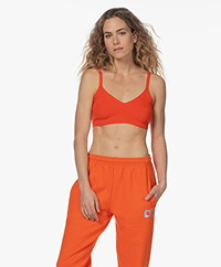 Drykorn Taous Knitted Bralette Top - Orange