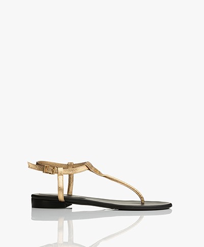 Zadig & Voltaire Alessa Embossed Metallic Sandals - Gold