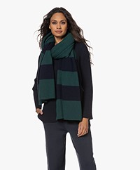 Woman by Earn Buddy Striped Wool and Cashmere Scarf - Dark Green
