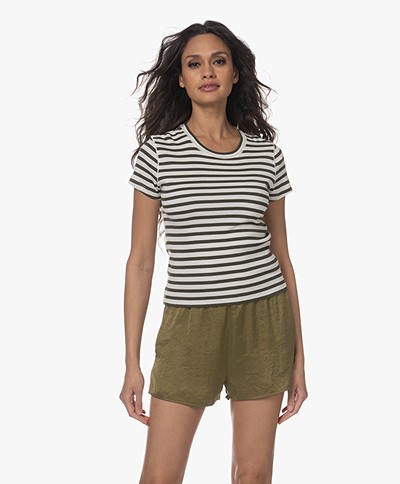 Closed Cropped Striped T-shirt - Green Weed 