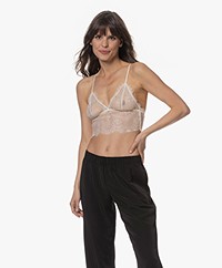 ANINE BING Delicate Lace Bralette - Ivory