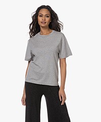 extreme cashmere N°269 Rik Cotton-Cashmere T-shirt - Grey