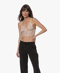 ANINE BING Delicate Lace Bralette - Ivory