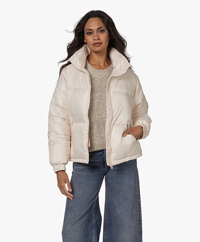 no man's land Kort Puffer Jack - Champagne