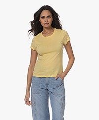 Closed Organic Cotton T-shirt - Calamatta Yellow