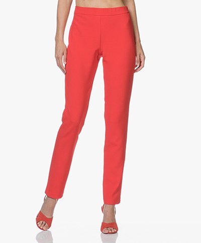 LaSalle Tapered Tailor Pants - Red