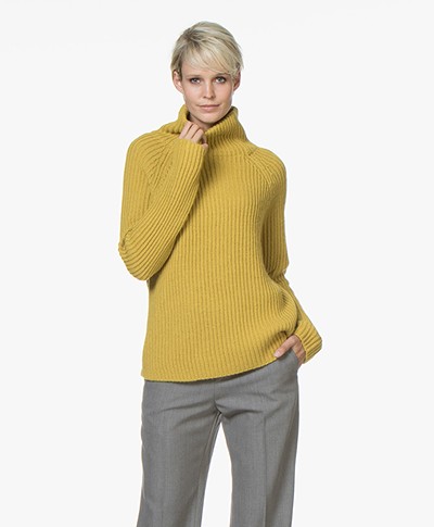 Drykorn Arwen Rib Knit Turtleneck Sweater - Yellow