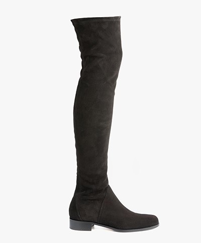 Panara Suede Over the Knee Boots - Black