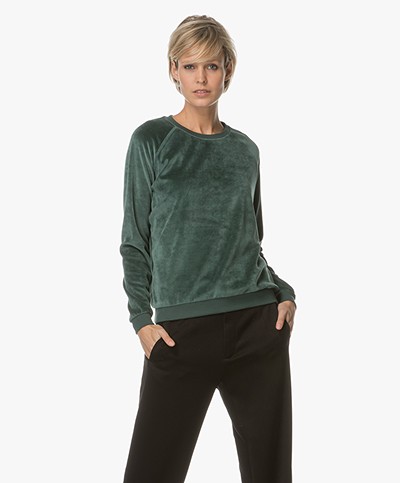 BY-BAR Velvet Sweater - Green