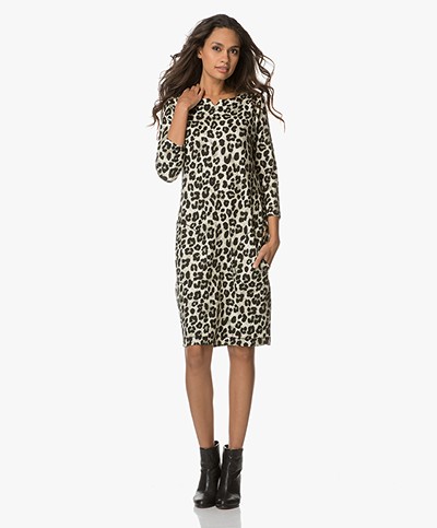 Kyra & Ko Odette Jersey Dress with Leopard Print - Moss