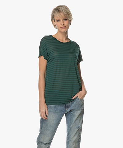 Denham Emmanuella Sheer Striped T-shirt - Antique Moss