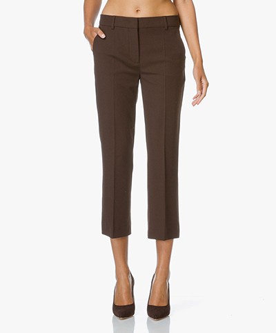 Sportmax Opice Cropped Pants - Brown  