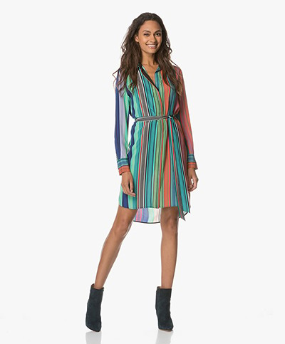 Diane von Furstenberg Shirt Dress - Burman Stripes 
