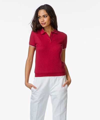 Majestic Cotton Polo T-Shirt - Rubis