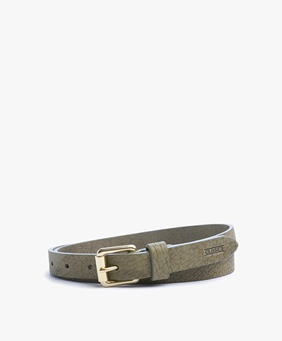 Closed Leather Belt with Gold-tone Buckle - Tropical Green