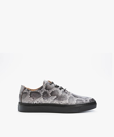 Fred de la Bretonière Faux Python Leather Sneakers - Grey/Black