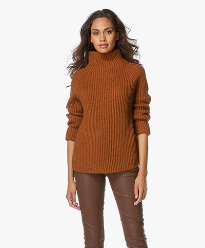 Drykorn Arwen Rib Knitted Turtleneck Sweater - Cognac